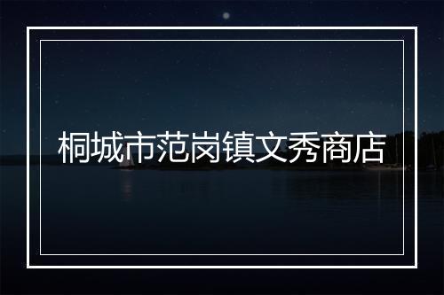 桐城市范岗镇文秀商店