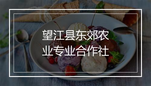 望江县东郊农业专业合作社