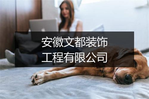 安徽文都装饰工程有限公司