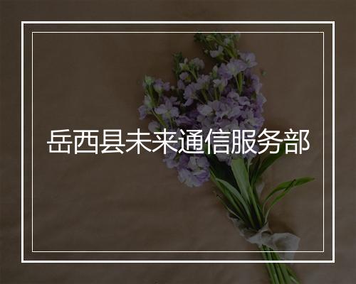 岳西县未来通信服务部