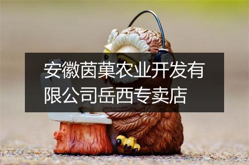 安徽茵菓农业开发有限公司岳西专卖店