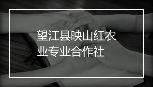 望江县映山红农业专业合作社