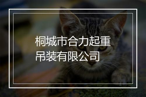 桐城市合力起重吊装有限公司