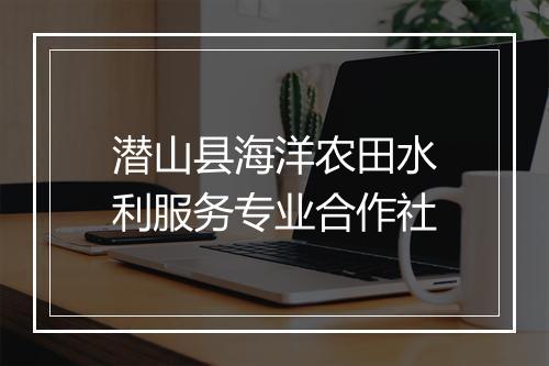 潜山县海洋农田水利服务专业合作社