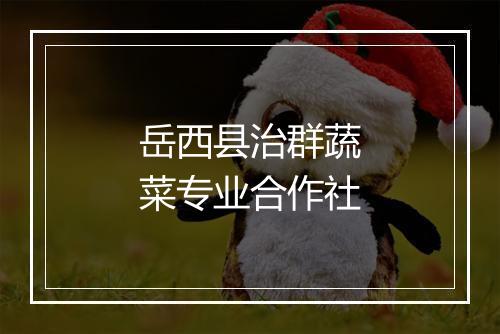岳西县治群蔬菜专业合作社