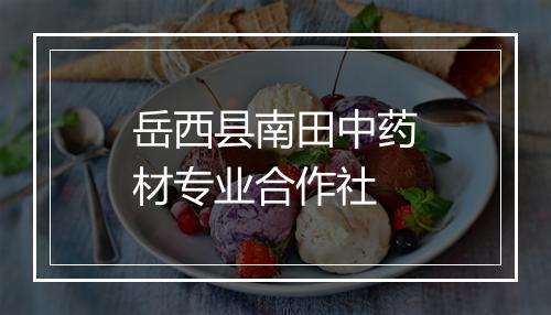 岳西县南田中药材专业合作社