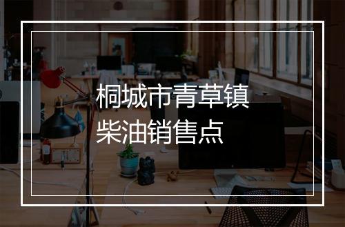桐城市青草镇柴油销售点