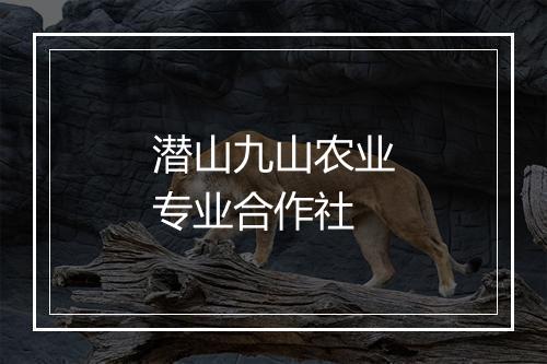 潜山九山农业专业合作社