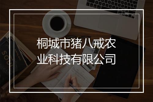 桐城市猪八戒农业科技有限公司
