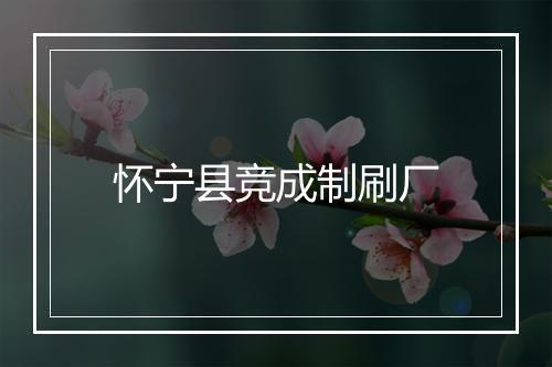 怀宁县竞成制刷厂
