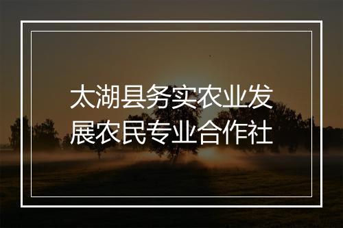 太湖县务实农业发展农民专业合作社