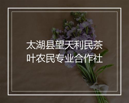 太湖县望天利民茶叶农民专业合作社
