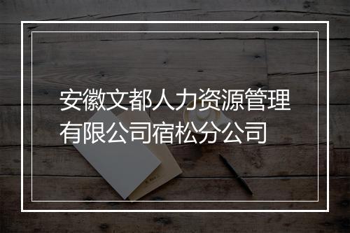 安徽文都人力资源管理有限公司宿松分公司