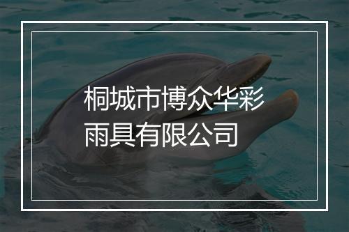 桐城市博众华彩雨具有限公司