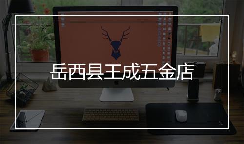 岳西县王成五金店