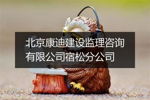北京康迪建设监理咨询有限公司宿松分公司
