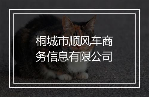 桐城市顺风车商务信息有限公司