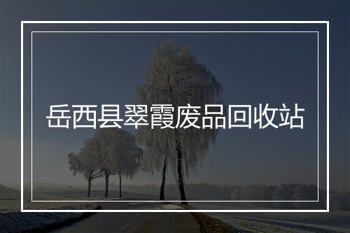 岳西县翠霞废品回收站