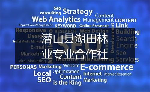 潜山县湖田林业专业合作社