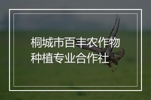 桐城市百丰农作物种植专业合作社