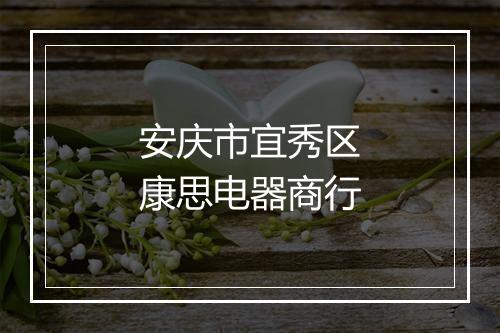 安庆市宜秀区康思电器商行