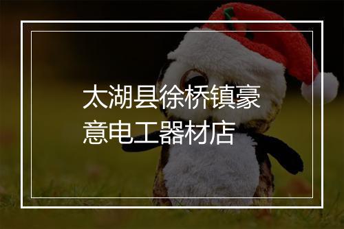 太湖县徐桥镇豪意电工器材店