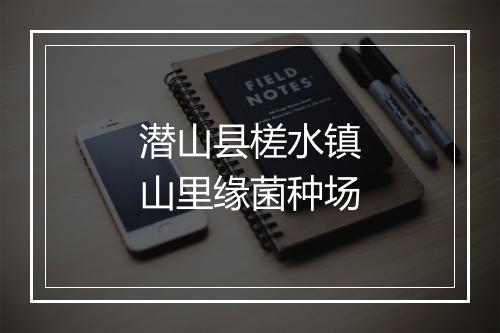 潜山县槎水镇山里缘菌种场