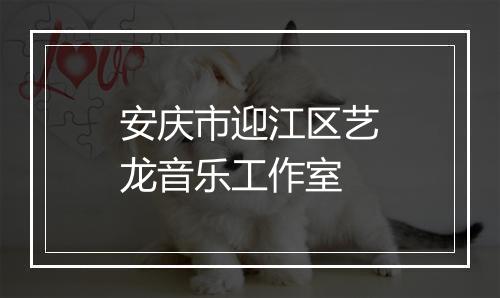 安庆市迎江区艺龙音乐工作室