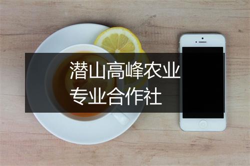 潜山高峰农业专业合作社