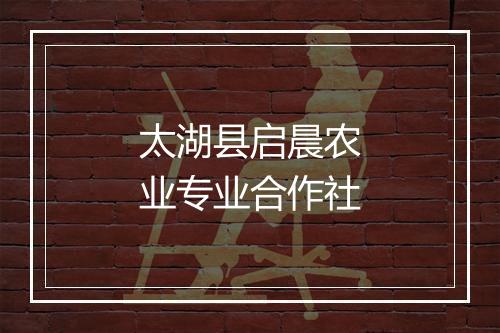 太湖县启晨农业专业合作社