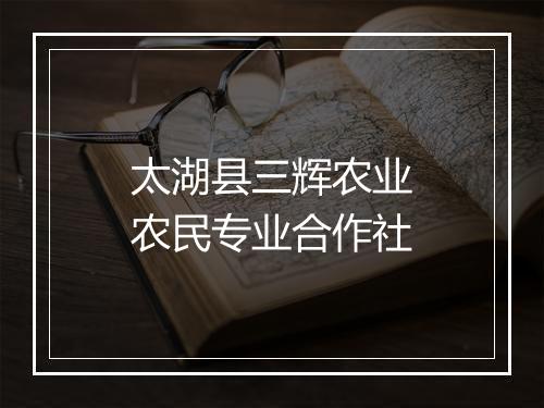 太湖县三辉农业农民专业合作社