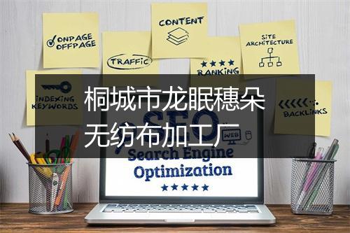 桐城市龙眠穗朵无纺布加工厂