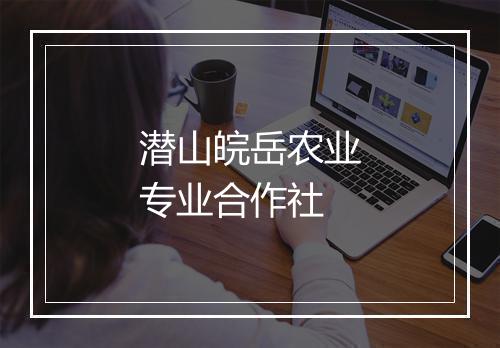潜山皖岳农业专业合作社