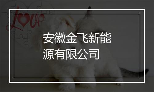 安徽金飞新能源有限公司
