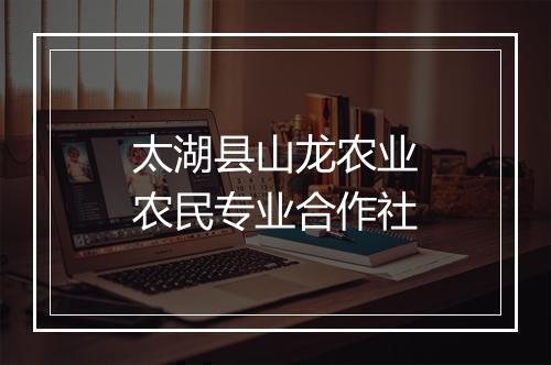 太湖县山龙农业农民专业合作社