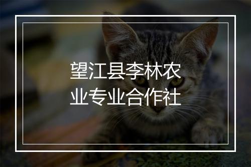 望江县李林农业专业合作社