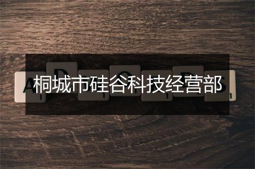 桐城市硅谷科技经营部