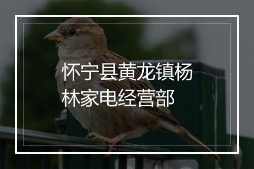 怀宁县黄龙镇杨林家电经营部
