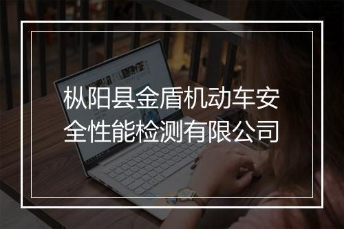 枞阳县金盾机动车安全性能检测有限公司