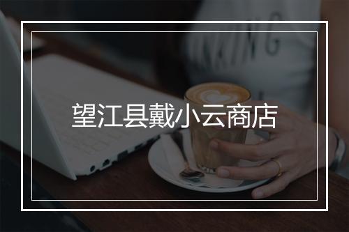 望江县戴小云商店
