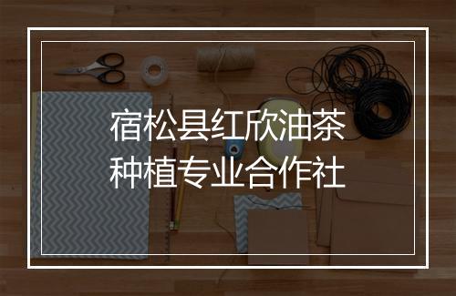 宿松县红欣油茶种植专业合作社