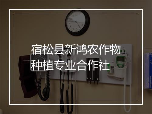 宿松县新鸿农作物种植专业合作社