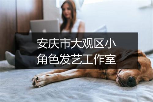 安庆市大观区小角色发艺工作室