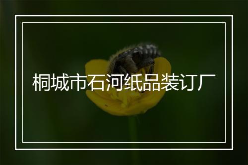 桐城市石河纸品装订厂
