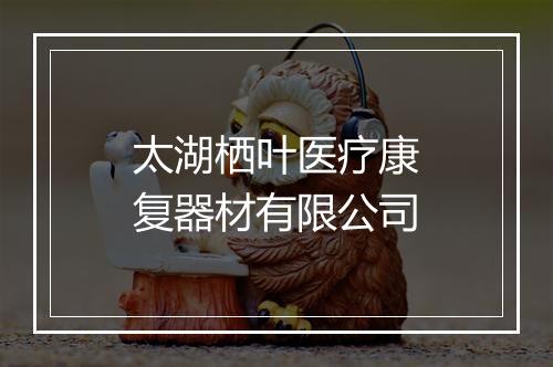太湖栖叶医疗康复器材有限公司