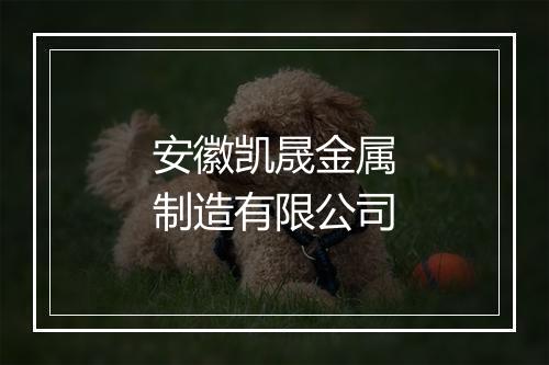 安徽凯晟金属制造有限公司