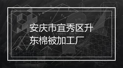 安庆市宜秀区升东棉被加工厂