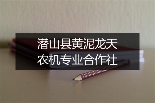 潜山县黄泥龙天农机专业合作社