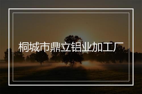 桐城市鼎立铝业加工厂