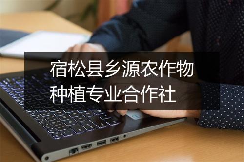 宿松县乡源农作物种植专业合作社